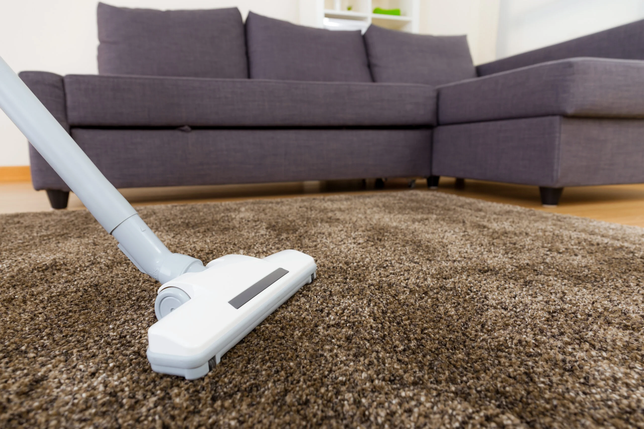 Carpet Cleaning Services